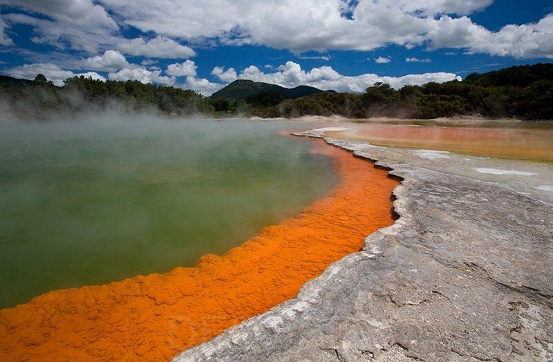 Trip to the Geothermal Valley of Rotorua