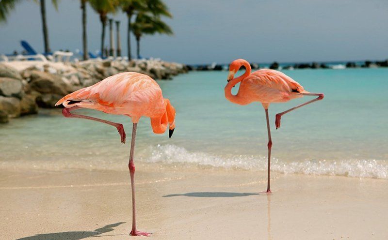Beaches of Aruba