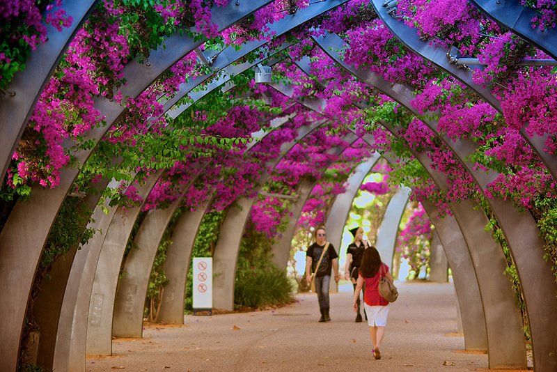 South Bank area