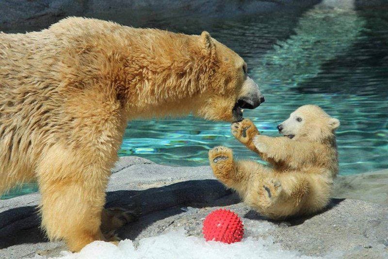 Sea World Aquarium