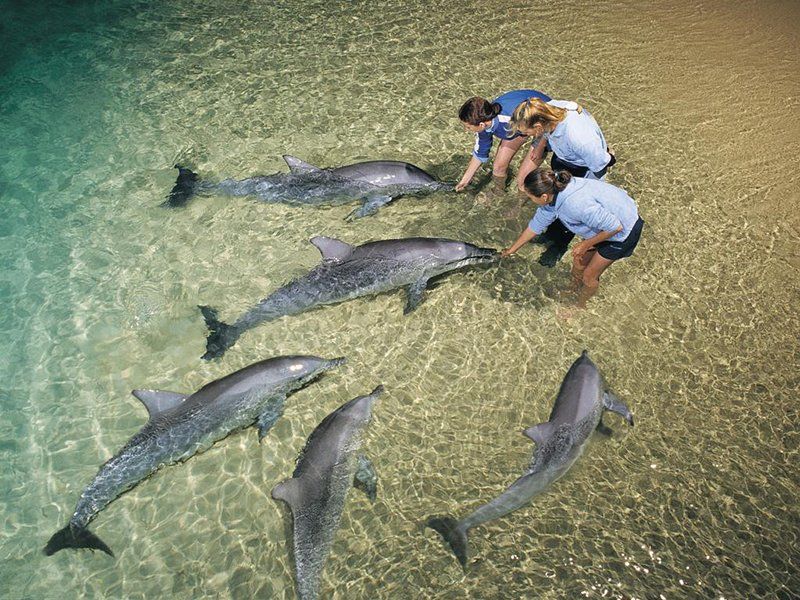 Moreton Island