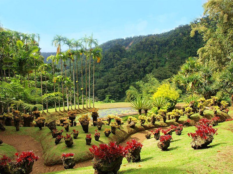 Grădina Botanică Balata