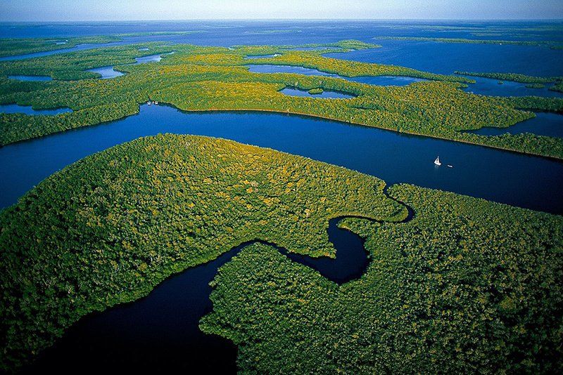 Excursie la Everglades