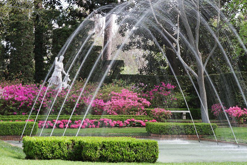 Особняк і сади Bayou Bend