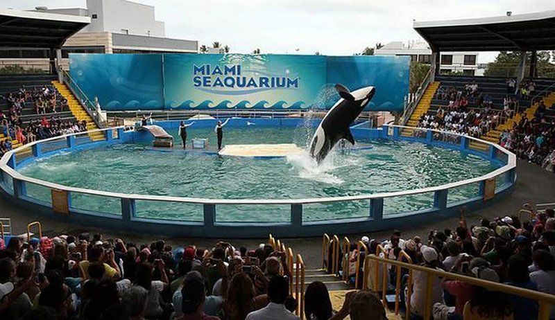 AquaZoo