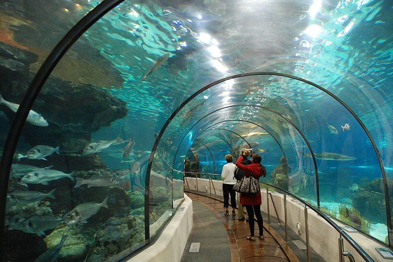 Океанаріум Underwater World