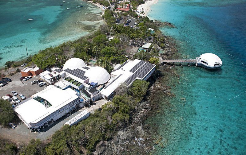 Coral World Marine Park