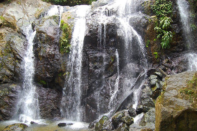 Cascada Argyle
