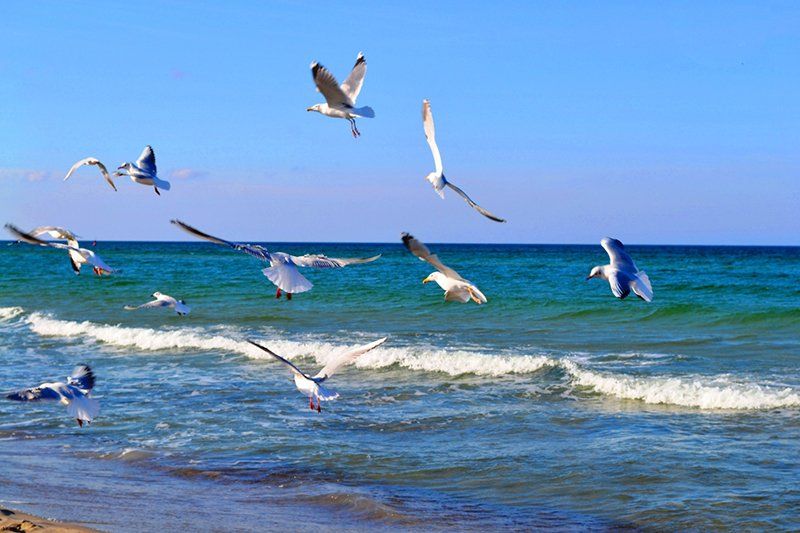 Beaches in Warnemünde