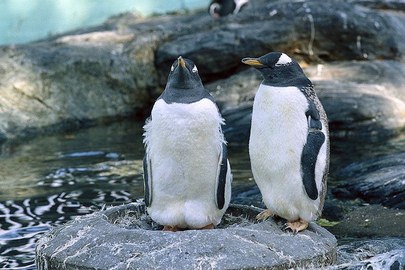 Aquarium