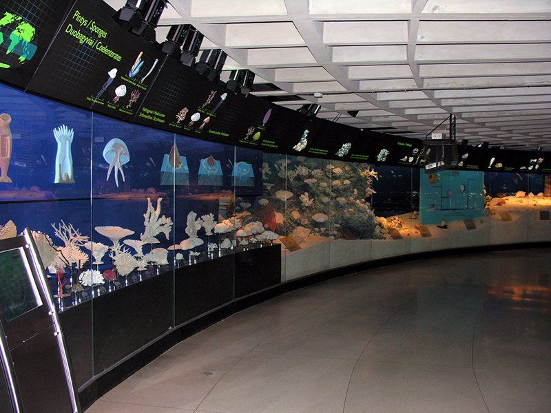 Sea Museum and Dolphinarium