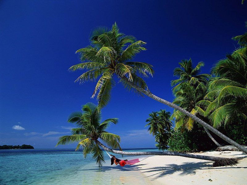 Pirate Island