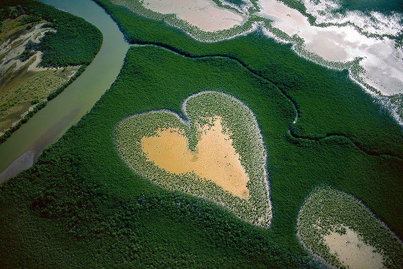 Cruise through Mangrove Forests