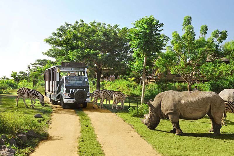 Safari Park