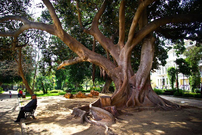 Central City Park