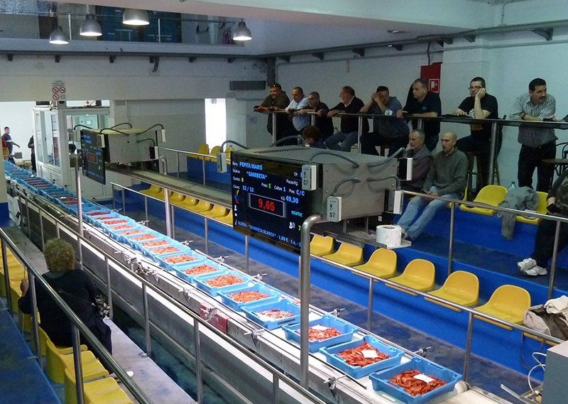 Fish Market and Fish Restaurants
