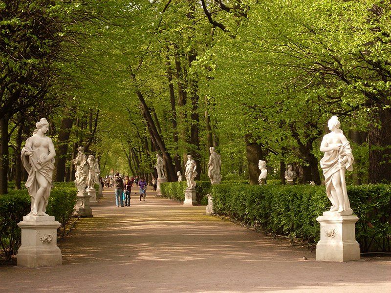 Grădina de vară