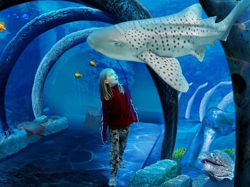 Морський центр Sea Life
