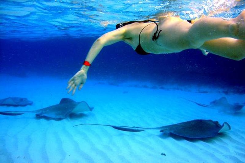 Pe insulă sunt condiții ideale pentru snorkeling.