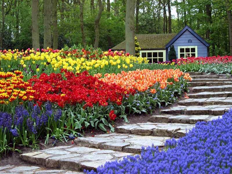 Keukenhof Flower Park