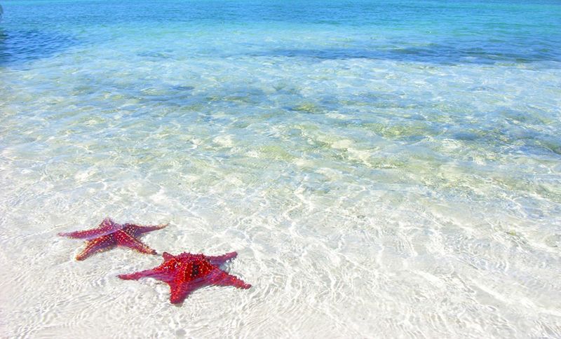 Beach in Water Reef Bay
