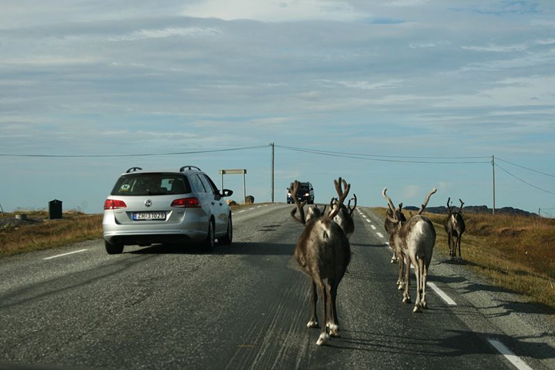 Drumul spre insula Nordkapp