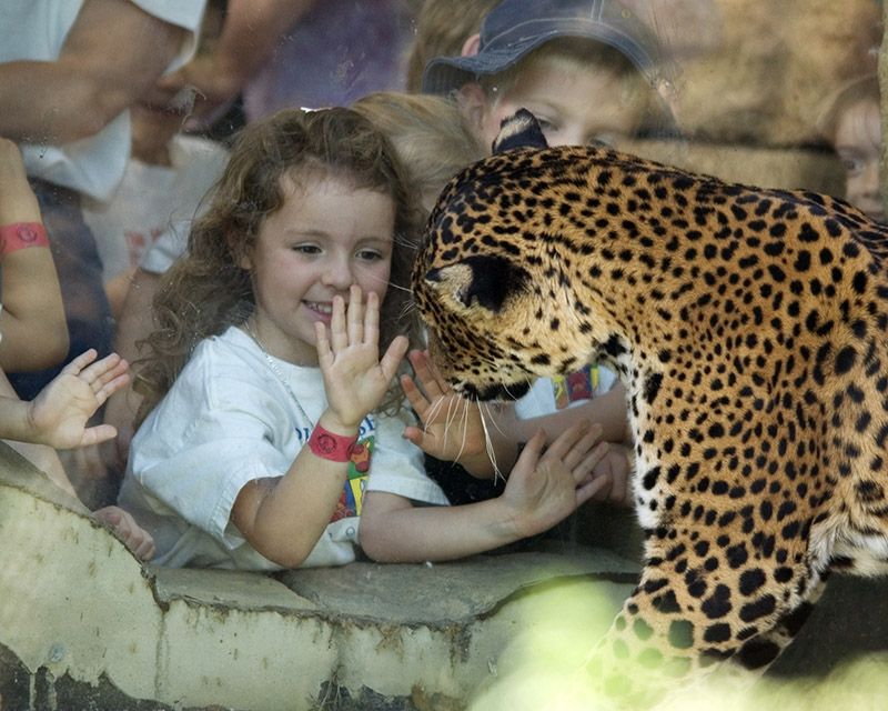 Zoo and botanical garden