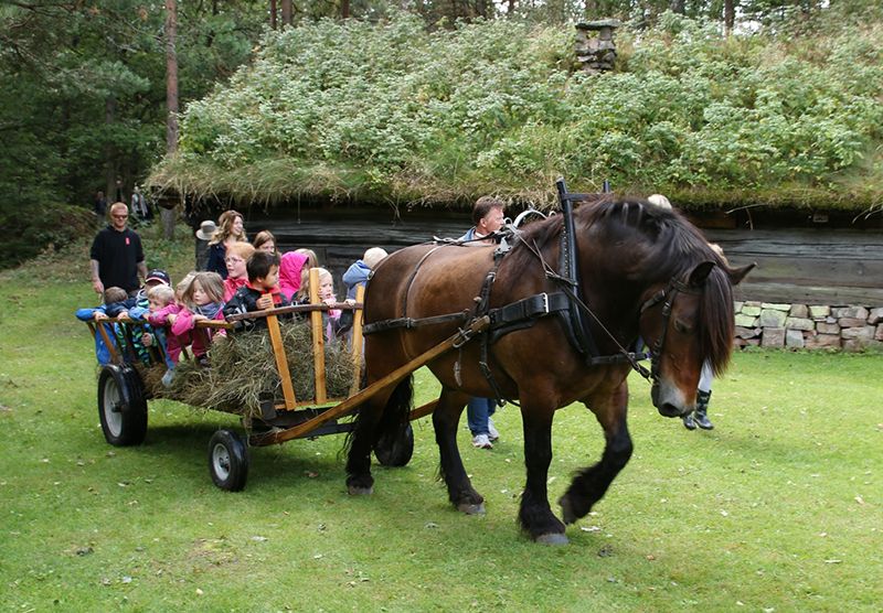 Ethnographic Open-Air Museum