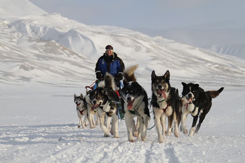 Husky ride