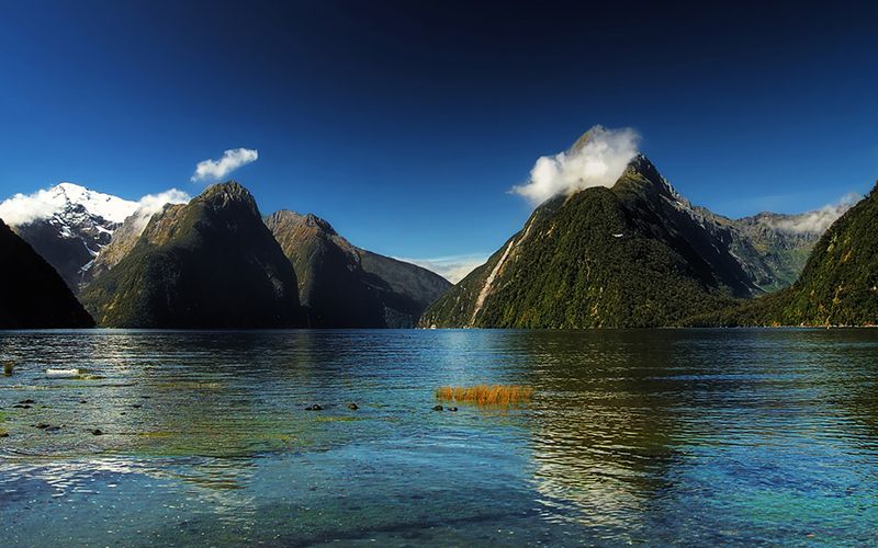 Milford Sound Fjords