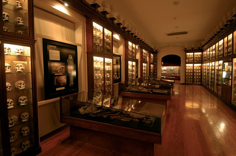 Museum of the Canary Islands