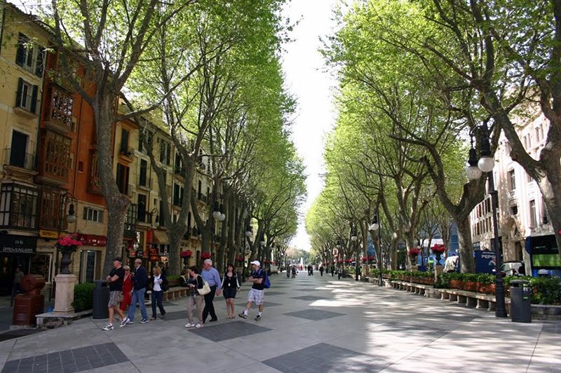Passeig de Born Street