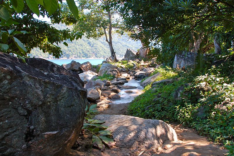 Nature of Puerto Vallarta