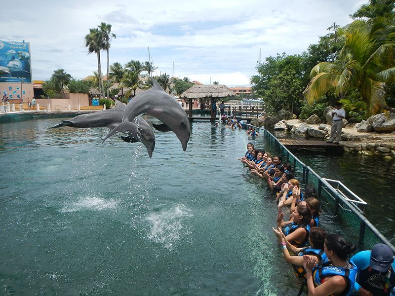 Dolphinarium