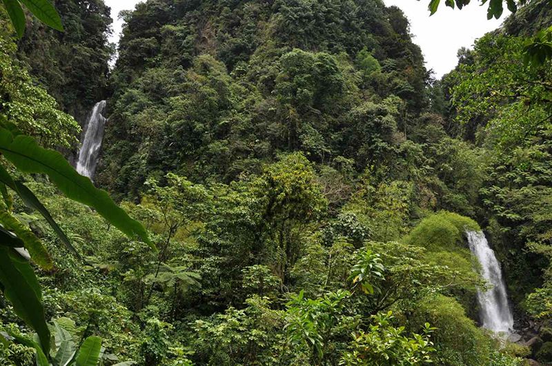 Trafalgar Falls