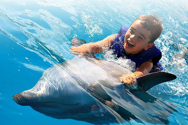 Cabo Dolphins Dolphinarium