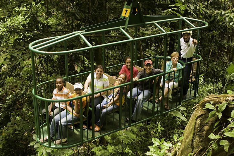 Rainforest National Park