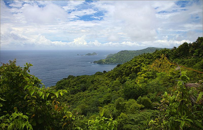 Rezervația naturală Tobago (Pădurea Tobago)
