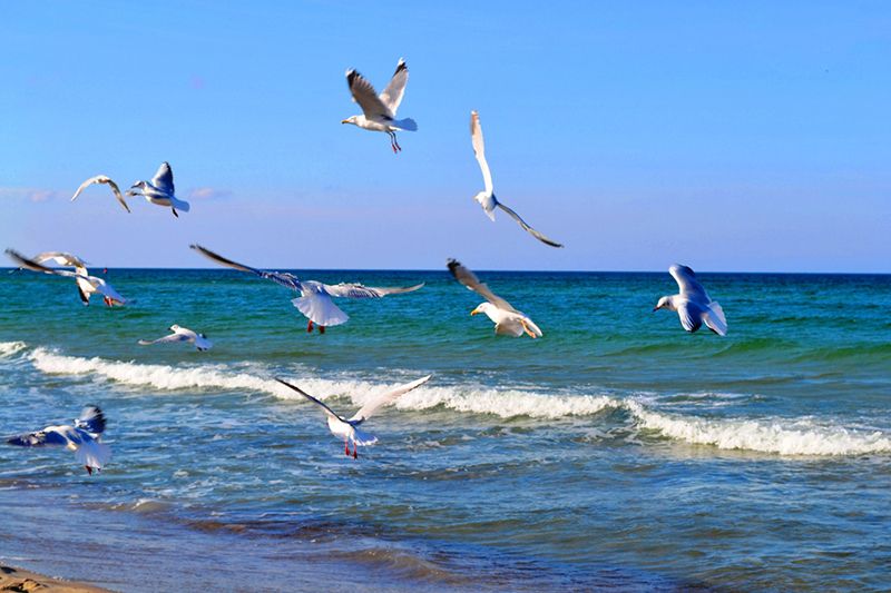 Beaches in Warnemünde