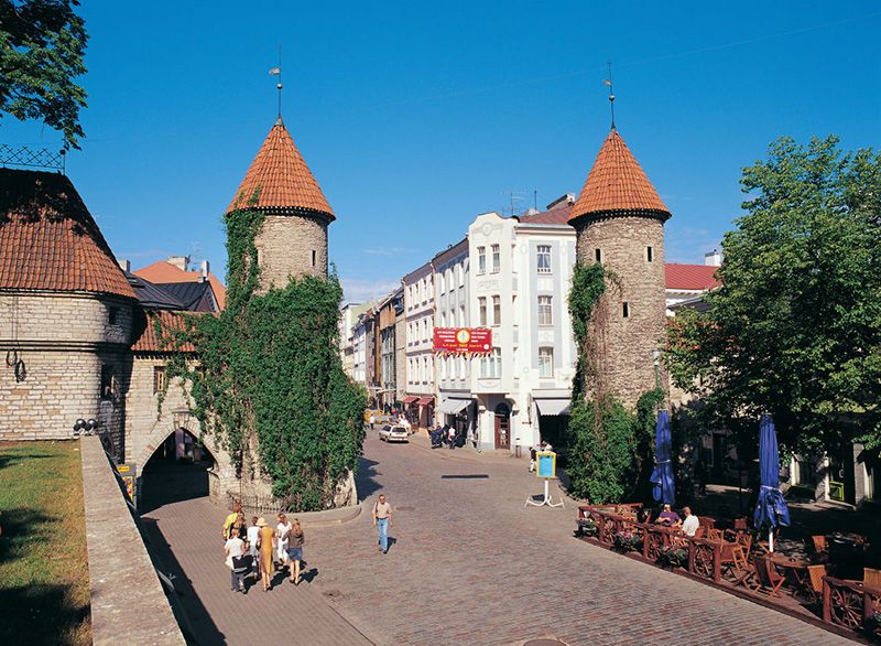 Вірусні ворота