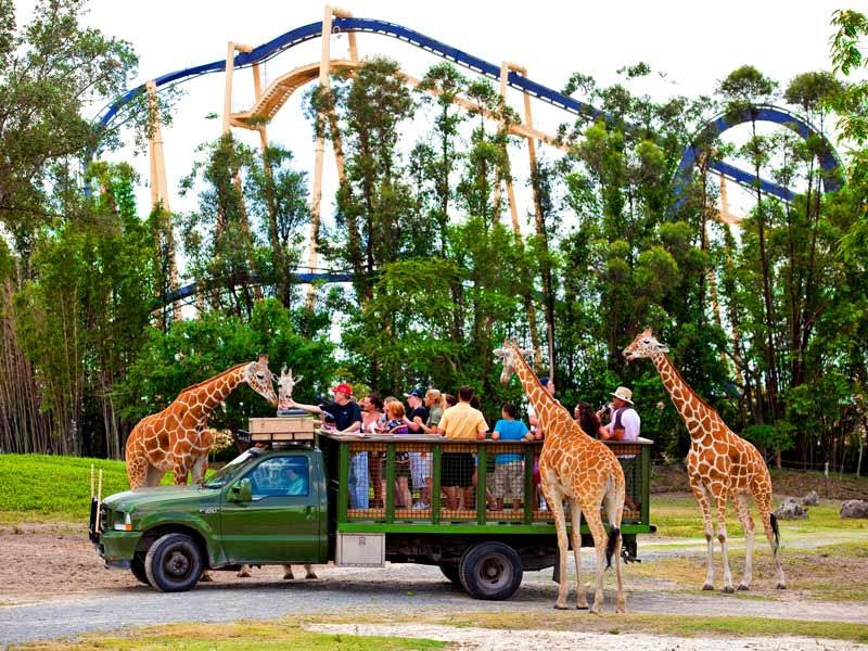 Parcul tematic Busch Gardens Tampa