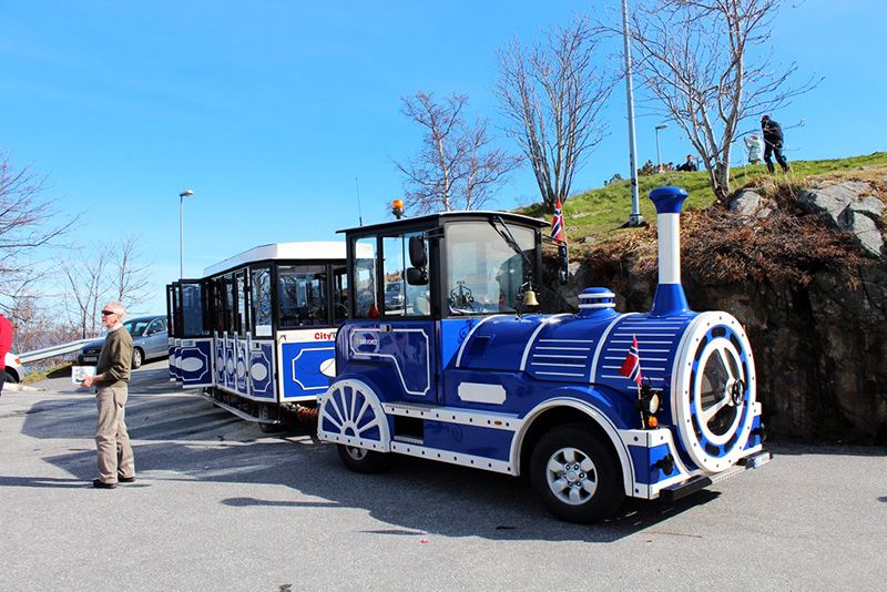 Excursion tram