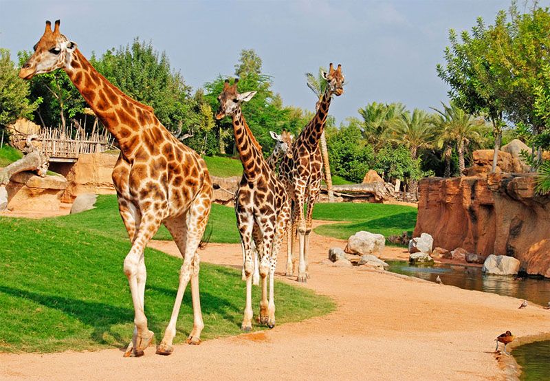 Valencia Biopark