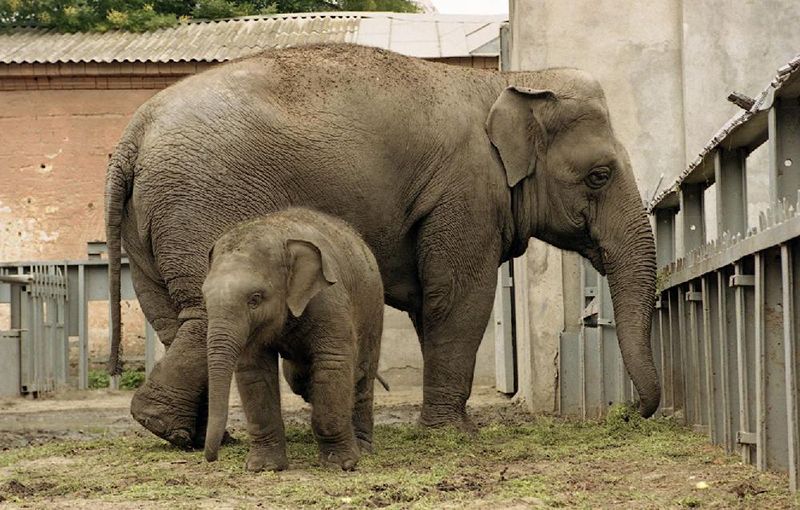 Odessa Zoo
