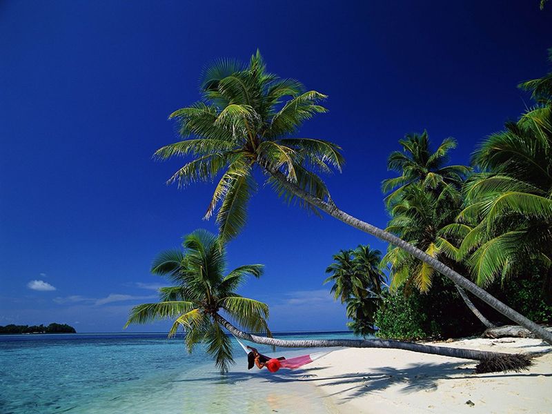 Pirates Island