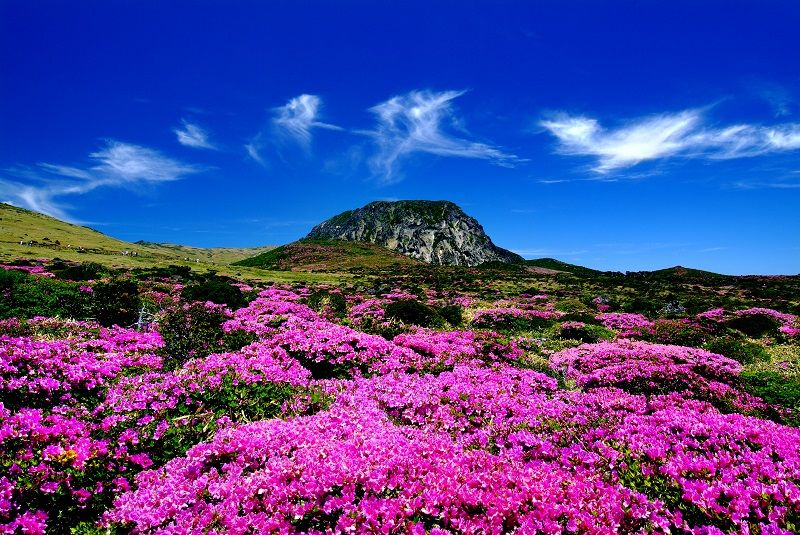 Insula Jeju, Coreea de Sud