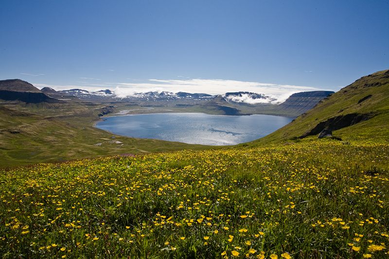Fjordurile de vest