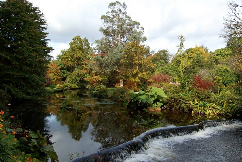 Сады Sion Hill House and Gardens