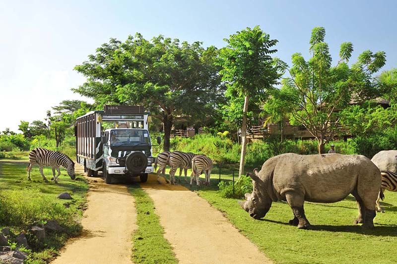 Safari park