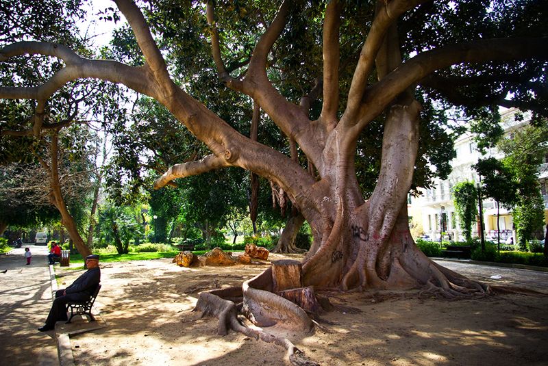 Central City Park